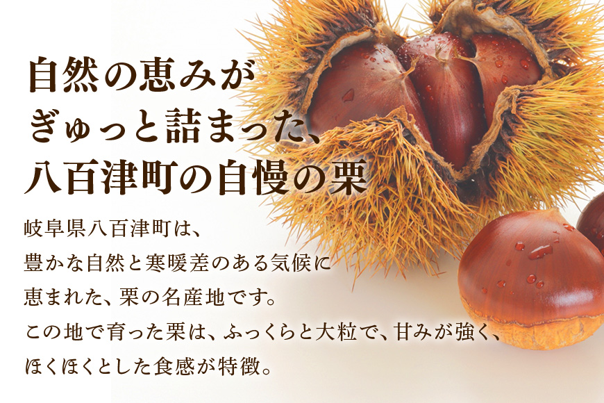 栗松利 (くりまつり) 栗ぃむ大福 栗きんとん モンブラン