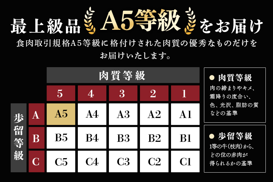 【冷蔵配送】飛騨牛食べ比べセット 豪華14品目