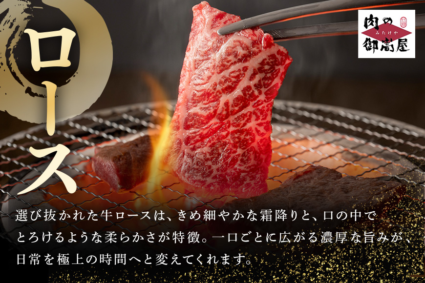 【冷蔵配送】飛騨牛 A5等級 ロース焼肉用 500g 焼肉 焼き肉 バーベキュー BBQ キャンプ アウトドア