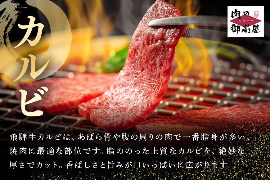 【冷蔵配送】飛騨牛 A5等級 カルビー焼肉用 500g 焼肉 焼き肉 バーベキュー BBQ キャンプ アウトドア
