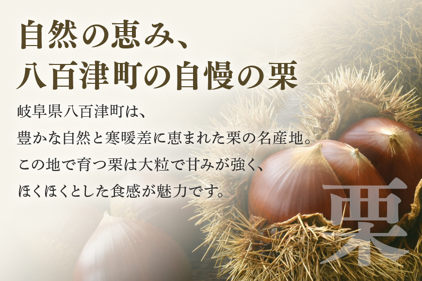緑屋老舗 栗きんとん 栗金飩 15個入 創業明治5年