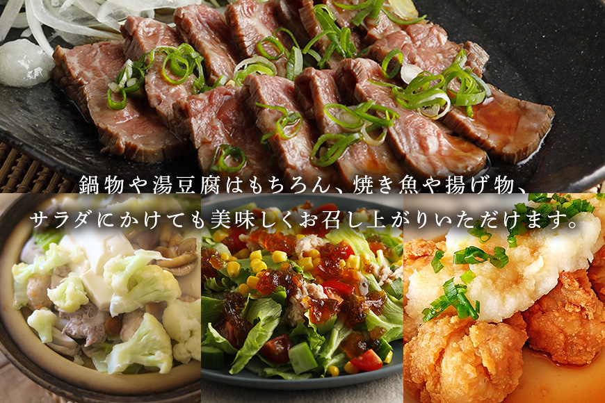 内堀醸造 美濃特選味付ぽん酢セット 360ml×6本