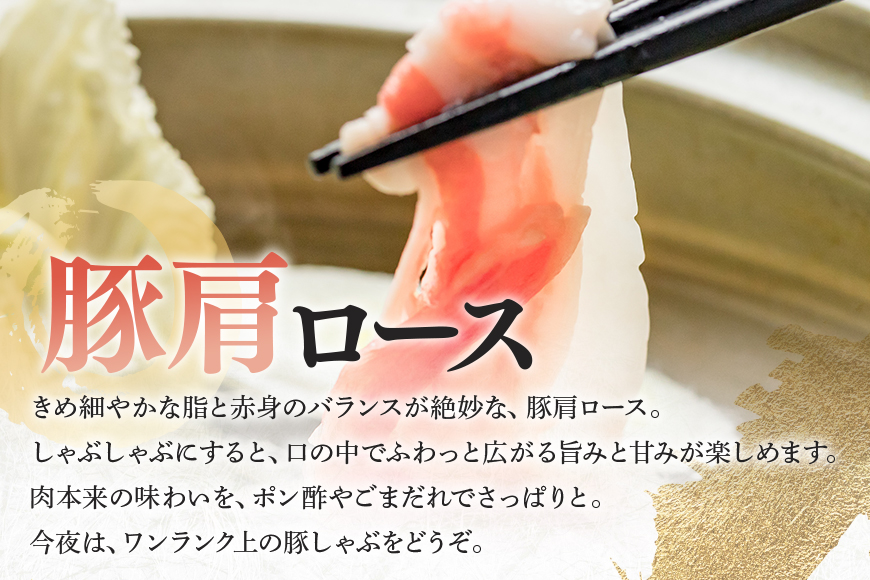 【冷蔵配送】飛騨牛 A5等級 カタロース ボーノポーク 豚カタロース 食べ比べセット 計1.2kg 和牛 牛肉 A5 豚肉 しゃぶしゃぶ