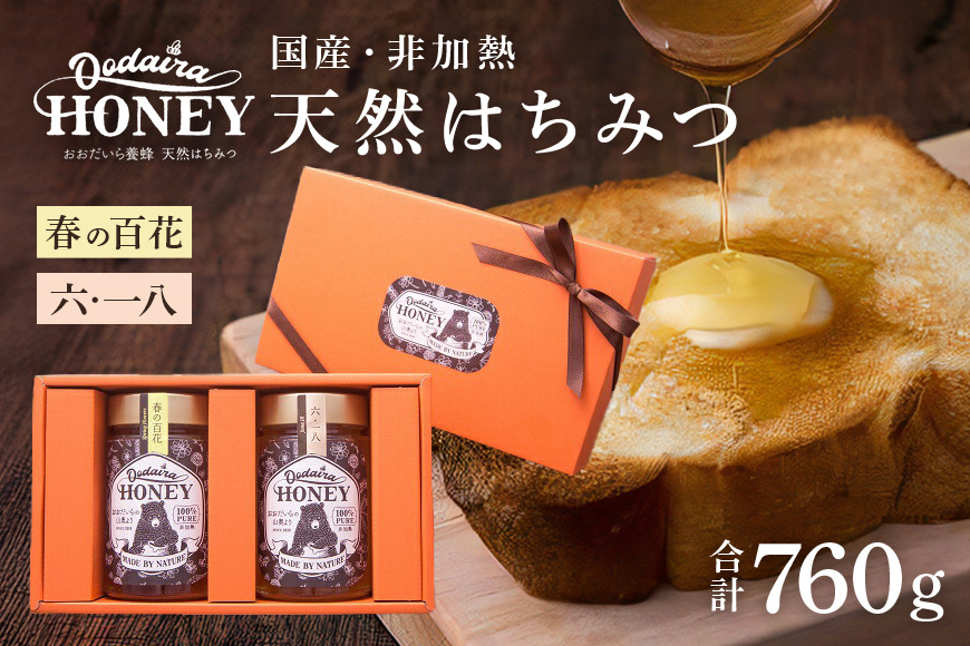 国産天然 非加熱はちみつ 380g 2本セット「春の百花」「6.18」