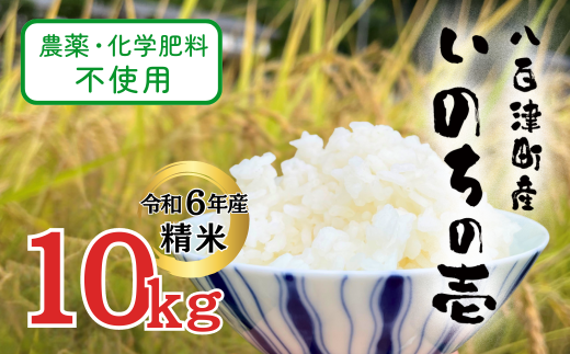 【令和6年産】農薬・化学肥料不使用　オータニ農業の『いのちの壱』精米10kg