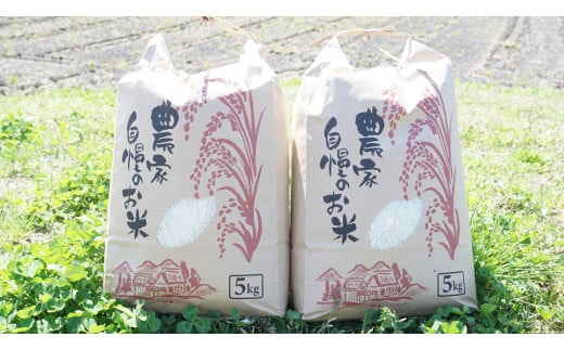 【令和7年度米】八百津町産コシヒカリ！ 10kg　数量限定