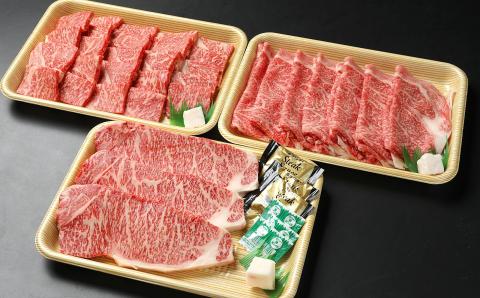 [冷蔵配送]飛騨牛 サーロインステーキ ローススライス 焼肉用ロース 特盛セット