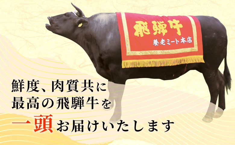 【分割配送】牛一頭まるごと千人前！ 飛騨牛  牛一頭 横綱セット 千人前 計197kg A5等級 すき焼き しゃぶしゃぶ ステーキ 焼肉 BBQ ランプ イチボ カイノミ サーロイン ヒレステーキ ロース 大容量 贅沢 飛騨 ブランド牛 牛肉 高級 贅沢 ご褒美 養老ミート