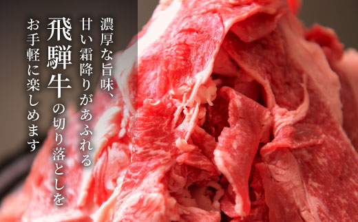 【最短翌日発送】 飛騨牛 切り落とし 280g 訳あり 訳有 牛肉 和牛 肉 切り落し 切落し こま切れ 肉じゃが すき焼き しゃぶしゃぶ 贅沢 霜降り 鍋 養老ミート