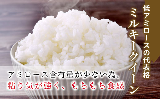 電子レンジで簡単！ パックご飯 ミルキークイーン たっぷり20個 レンチンご飯 食品 お米 こめ ご飯パック ご飯 パック パックライス ライスパック 大容量 岐阜県 東白川村産 備蓄 保存食