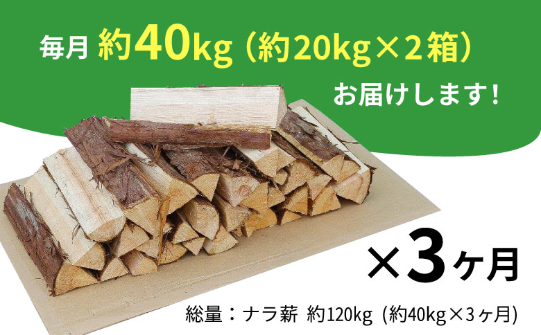 3ヶ月定期便 なら薪 中～大割 約40kg ( 約20kg×2箱 ) 計120kg 3回 3ヶ月 中割 大割 薪ストーブ アウトドア キャンプ 焚火 暖炉 楢 ナラ 薪 まき 雑貨 日用品 定期便 定期 毎月届く 森林 木 木材 東白川村