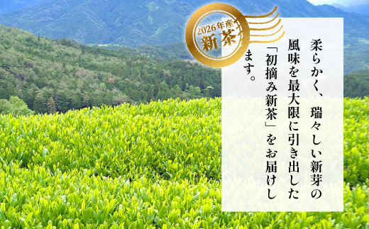 【2026年産新茶】新茶 美濃白川茶 50g×6袋 初摘み 東白川村産 岐阜県産 お茶 日本茶 ホット アイス おためし 送料無料 クリックポスト 50g×6袋