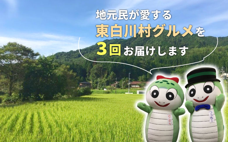 東白川村 グルメ定期便 全3回 特産品 名物 朴葉寿司 漬物 きくらげ 佃煮 味付けあげ あげ 揚げ ごはん おつまみ おかず 薬味 田舎 ご飯 ごはんのおとも 朴葉 寿司 季節 食べ比べ 岐阜 東濃 定期 毎月お届け 郷土料理 ふるさとの味 つちのこ