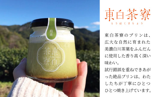 【冷凍配送】 食べるお茶スイーツ 東白茶寮プリン 「月」 6種 6個セット 皇 ほうじ茶プリン ショコラ 煎茶ティラミス ほうじ茶ティラミス Theプリン プリン 東白川村 贈り物 美濃白川茶 お茶 日本茶 煎茶 ほうじ茶 贅沢 食べ比べ ギフト