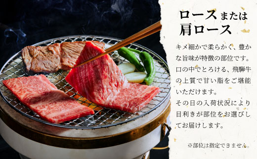 【最短翌日発送】 飛騨牛 ロースまたは肩ロース 焼肉用 600g 牛肉 和牛 肉 焼肉 BBQ ロース カタロース 肩ロース 贅沢 霜降り 養老ミート