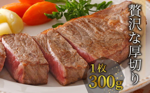 【最短発送】最高5等級 飛騨牛 厚切りロースステーキ 600g 300g×2枚 牛肉 和牛 肉 ロース ステーキ 東白川村 岐阜 贅沢 霜降り A5 5等級 厚切り 養老ミート
