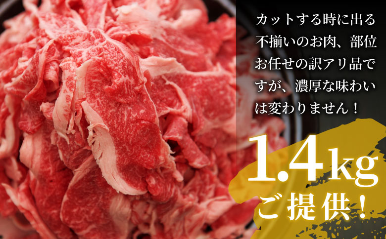 【最短発送】 飛騨牛 切り落とし 1.4kg (700g×2P) 訳あり 牛肉 和牛 肉 お肉 切落し 不揃い にく 切り落し 東白川村 ブランド牛 国産 人気 おすすめ 薄切り きりおとし 岐阜 すき焼き お取り寄せ 冷凍 大容量 たっぷり 養老ミート 20000円 2万円