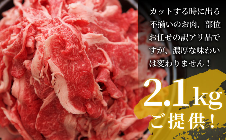 【最短発送】 飛騨牛 切り落とし 2.1kg (700g×3P) 訳あり 牛肉 和牛 肉 お肉 切落し 不揃い にく 切り落し 東白川村 ブランド牛 国産 人気 おすすめ 薄切り きりおとし 岐阜 すき焼き お取り寄せ 冷凍 大容量 たっぷり 養老ミート 30000円 3万円