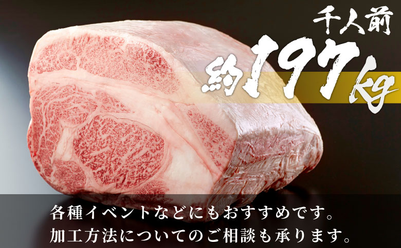 【一括配送】牛一頭まるごと千人前！ 飛騨牛 牛一頭 横綱セット 千人前 計197kg A5等級 すき焼き しゃぶしゃぶ ステーキ 焼肉 BBQ ランプ イチボ カイノミ サーロイン ヒレステーキ ロース 大容量 贅沢 飛騨 ブランド牛 牛肉 高級 贅沢 ご褒美 養老ミート