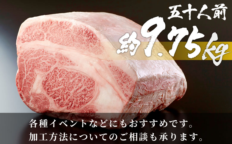 どどんと五十人前！ 飛騨牛 部位選別 関脇セット 五十人前 計9.75kg A5等級 すき焼き しゃぶしゃぶ ステーキ 焼肉 BBQ ヒレ サーロイン 肩ロース 三角バラ ソトバラ ランプ イチボ ウチモモ マル 贅沢 飛騨 ブランド牛 牛肉 高級 贅沢 ご褒美 養老ミート