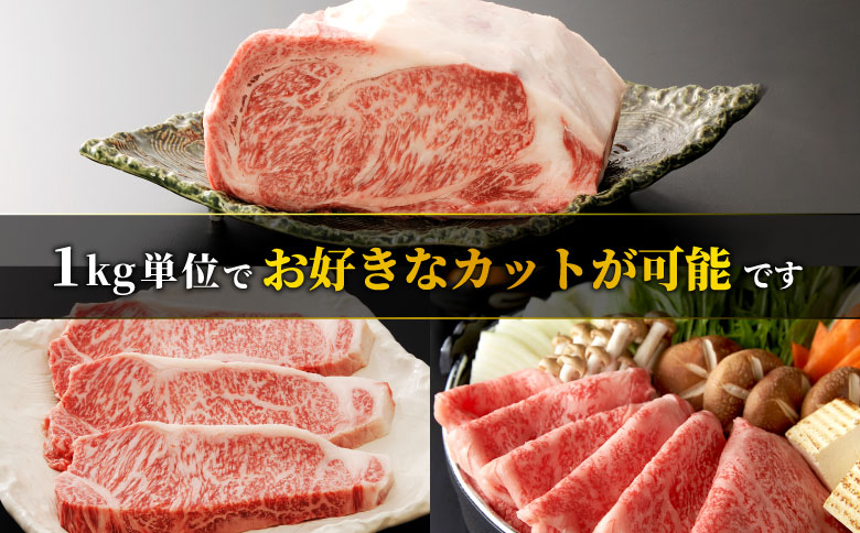 お好きなカット可能！飛騨牛 サーロインブロック 5kg 牛肉 和牛 肉 塊肉 サーロイン ステーキ すき焼き しゃぶしゃぶ 赤身 肉 牛 牛肉 鉄板焼き お祝い 贈答 ギフト 贈り物 ふるさと納税 東白川村 岐阜 贅沢 霜降り 柔らかい ジューシー 養老ミート