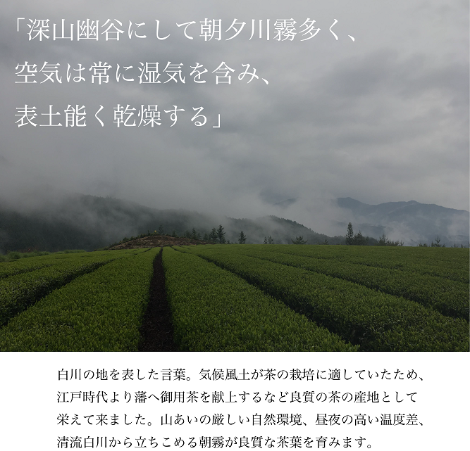 白川茶を贅沢に飲み比べ！ 白川茶 詰め合わせセット 3種 お茶 煎茶 緑茶 美濃白川茶 日本茶 茶葉 ティー 国産 岐阜県 東白川村 お茶セット 特産品 名産品 銘茶 お取り寄せ 産地直送 農薬不使用 本格 上品 厳選 人気 贈り物 ギフト 贈答 プレゼント 12000円