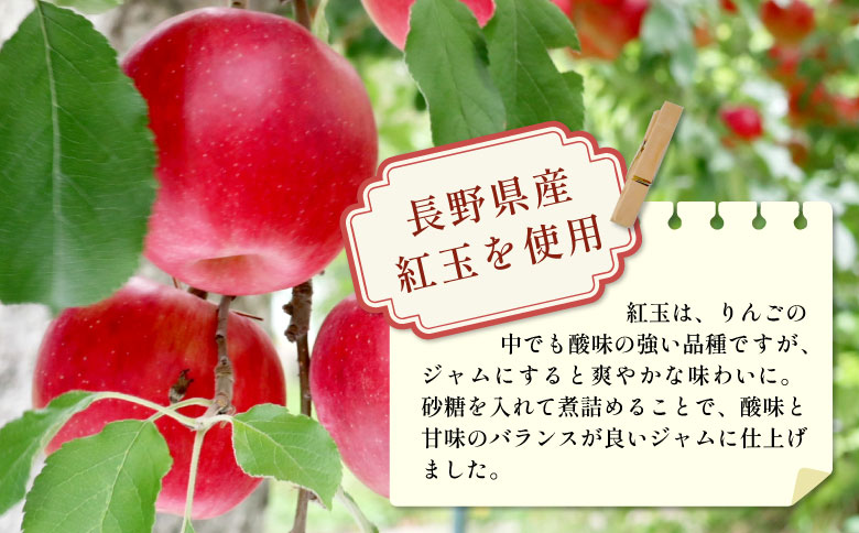 国産紅玉使用！ りんごジャム 3個 180g×3個 果物 フルーツ ジャム りんご 紅玉 リンゴ アップル 東白川村 岐阜 国産 つちのこの村 5500円