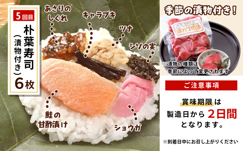 【定期便/全5回】 郷土の味セット★白川茶屋のおばちゃん便 手作り 五平餅 つちのこ焼き 草餅 草大福餅 けいちゃん 朴葉寿司 よもぎ 蓬餅 あんこ つぶあん 小豆 あずき 大福 餅 もち たい焼き 焼き菓子 和菓子 鶏ちゃん 朴葉 定期便 【関東,中部,近畿限定】