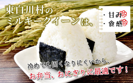 電子レンジで簡単！ パックご飯 ミルキークイーン たっぷり20個 レンチンご飯 食品 お米 こめ ご飯パック ご飯 パック パックライス ライスパック 大容量 岐阜県 東白川村産 備蓄 保存食