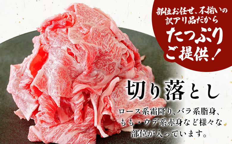 飛騨牛 切り落とし 250g A5 A4 国産 牛 黒毛和牛 和牛 牛肉 切落し 切り落し 薄切り 訳あり 牛丼 すき焼き しゃぶしゃぶ 炒め物 東白川村 岐阜 飛騨 贅沢 霜降り ロース バラ もも ウデ 肉のひぐち 250g（8,000円）