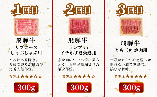 飛騨牛 希少部位 定期便 全6回 計1.86kg 2人前相当 すき焼き しゃぶしゃぶ ステーキ 焼肉 BBQ リブロース ランプ イチボ とも三角 ミスジ リブロースステーキ 贅沢 贈り物 6ヶ月 定期 おすすめ レア 人気 飛騨 ブランド牛 牛肉 肉 肉のひぐち 【7月発送開始】