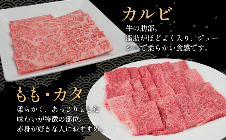 飛騨牛 BBQセット（カルビ・モモカタ） 800g A5 A4 国産 牛 冷凍 和牛 牛肉 カルビ もも モモ カタ 肩 かた 豪華 ギフト 贈答 にく お肉 肉 東白川村 岐阜 飛騨 贅沢 霜降り 赤身 肉のひぐち 計800g（24,000円）