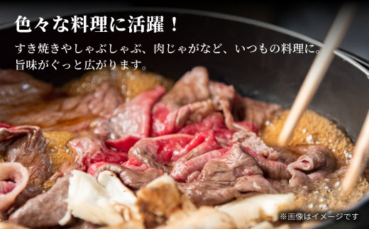 飛騨牛 4等級以上 切り落とし 560g 牛肉 和牛 肉 切落し ブランド牛 4等級 5等級 国産 切落とし 切り落し 切落し 人気 おすすめ 薄切り 岐阜 東白川村 すき焼き お取り寄せ 中濃ミート 【11月発送】