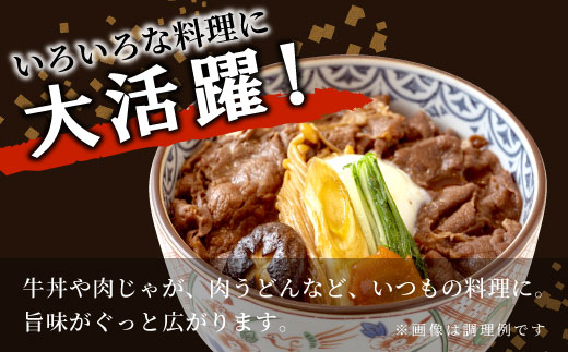 飛騨牛 切り落とし 600g 牛肉 和牛 肉 お肉 切落し 不揃い にく 切り落し 東白川村 ブランド牛 国産 人気 おすすめ 薄切り きりおとし 岐阜 すき焼き お取り寄せ 冷凍 【2月発送】