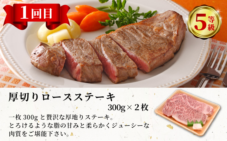 最高等級 5等級限定 飛騨牛3回定期便 すき焼き しゃぶしゃぶ ステーキ シャトーブリアン 厚切りステーキ ロース ロースステーキ ローススライス 希少部位 贅沢 3ヶ月 定期 定期便 飛騨 飛騨牛 牛 肉 和牛 黒毛和牛 ブランド牛 養老ミート