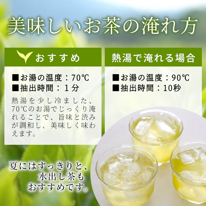 香り高い高級煎茶 「天籟-てんらい-」 80g 茶蔵園 日本茶 緑茶 煎茶 お茶 一番茶 春摘み 浅煎り 東白川村