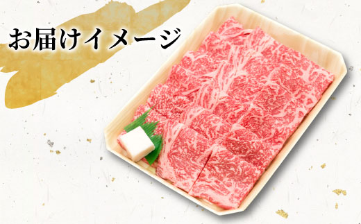 【最短翌日発送】 飛騨牛 ロースまたは肩ロース 焼肉用 600g 牛肉 和牛 肉 焼肉 BBQ ロース カタロース 肩ロース 贅沢 霜降り 養老ミート