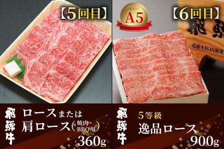 定期便 6回 飛騨牛 ロース 肩ロース カタ モモ ステーキ ロースステーキ サーロインステーキ すき焼き しゃぶしゃぶ 肉 牛 牛肉 和牛 養老ミート