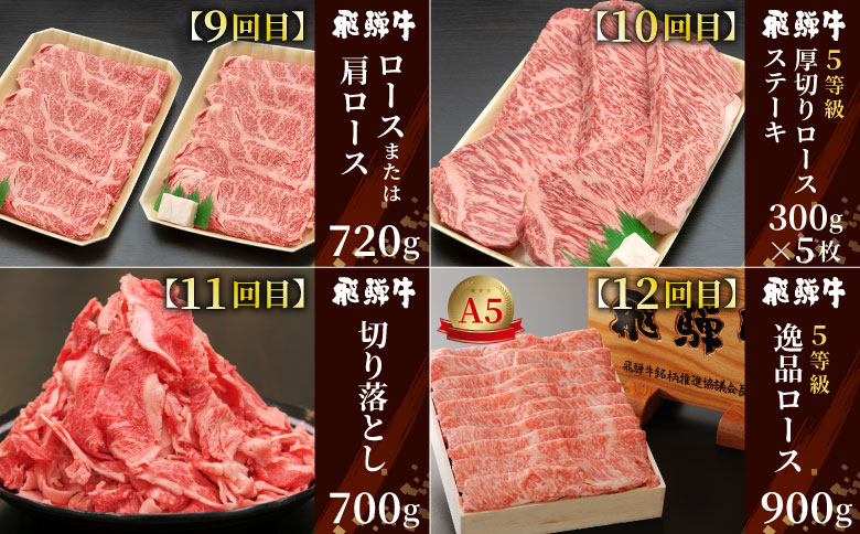 定期便 12回 飛騨牛 ロース 肩ロース カタ モモ ステーキ ロースステーキ サーロインステーキ すき焼き しゃぶしゃぶ 肉 牛 牛肉 和牛 養老ミート