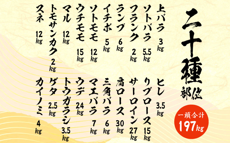【一括配送】牛一頭まるごと千人前！ 飛騨牛 牛一頭 横綱セット 千人前 計197kg A5等級 すき焼き しゃぶしゃぶ ステーキ 焼肉 BBQ ランプ イチボ カイノミ サーロイン ヒレステーキ ロース 大容量 贅沢 飛騨 ブランド牛 牛肉 高級 贅沢 ご褒美 養老ミート