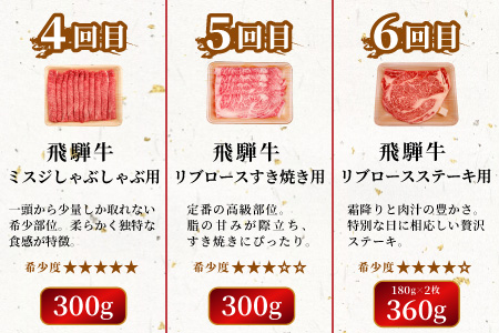 飛騨牛 希少部位 定期便 全6回 計1.86kg 2人前相当 すき焼き しゃぶしゃぶ ステーキ 焼肉 BBQ リブロース ランプ イチボ とも三角 ミスジ リブロースステーキ 贅沢 贈り物 6ヶ月 定期 おすすめ レア 人気 飛騨 ブランド牛 牛肉 肉 肉のひぐち 【7月発送開始】