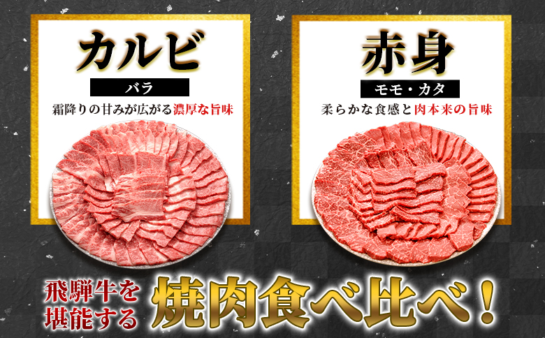 【最短発送】 贅沢！ 飛騨牛 焼肉セット 計800g 4人前 牛肉 和牛 肉 焼肉 BBQ 霜降り カルビ 赤身 モモ カタ 東白川村 岐阜 養老ミート