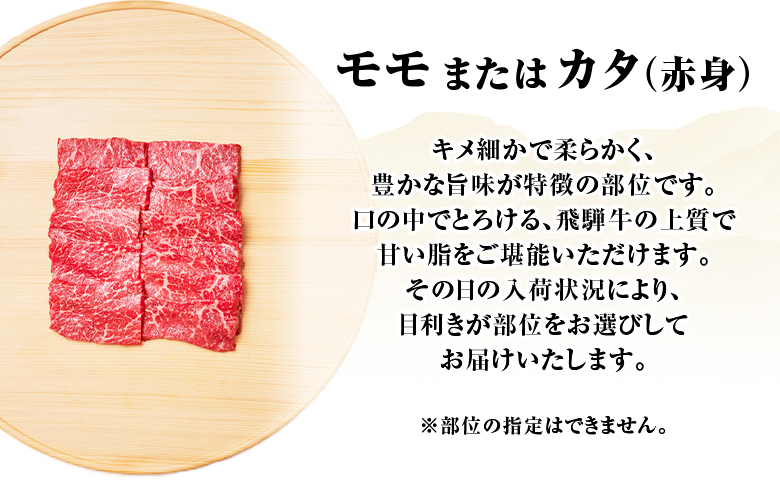 【最短発送】 贅沢！ 飛騨牛 モモまたはカタ 焼肉用 500g 2～3人前 牛肉 和牛 肉 焼肉 BBQ 霜降り カルビ 赤身 モモ カタ 東白川村 岐阜 養老ミート