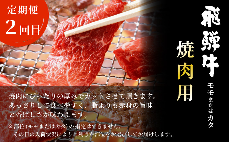 飛騨牛 赤身プレミアム定期便 全3回 すき焼き しゃぶしゃぶ ステーキ 焼肉 BBQ モモ カタ ヒレ 贅沢 贈り物 3ヶ月 定期 おすすめ 選べる 人気 飛騨 牛 肉 和牛 黒毛和牛 ブランド牛 養老ミート