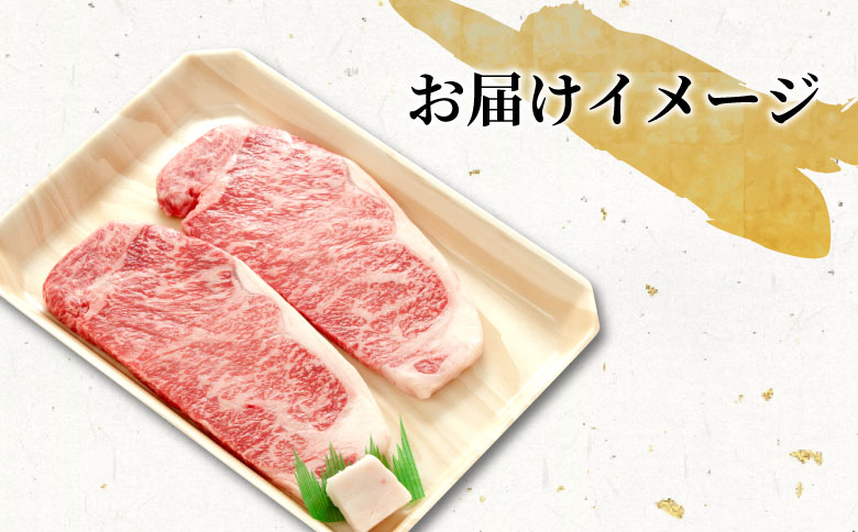 【最短発送】 飛騨牛 サーロインステーキ 400g 200g×2枚 牛肉 和牛 肉 ステーキ 東白川村 岐阜 贅沢 霜降り 養老ミート 25000円