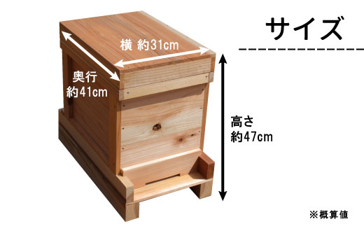 東白川村 西洋ミツバチ用飼育箱 西洋 ミツバチ 飼育 巣箱 養蜂 ハチミツ 蜂蜜 蜂 自由研究