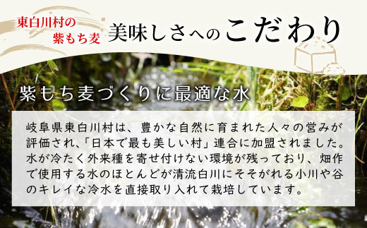 【令和7年度産】 東白川村産 紫もち麦 ダイシモチ 150g×3袋 450g もち麦 麦 食物繊維 雑穀 雑穀米 食べきり お米 こめ 精米 ご飯 おためし 混ぜるだけ