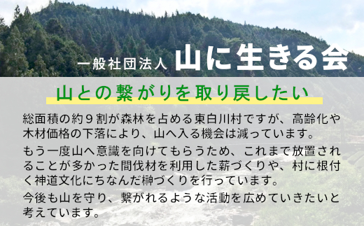【3ヶ月定期便】東濃ヒノキ薪 中割～大割 約32kg ( 約16kg×2箱 ) 3回 3ヶ月 計96kg 皮付き 中割 大割 薪ストーブ アウトドア キャンプ 焚火 暖炉 薪 まき 桧 ひのき ヒノキ 雑貨 日用品 定期便