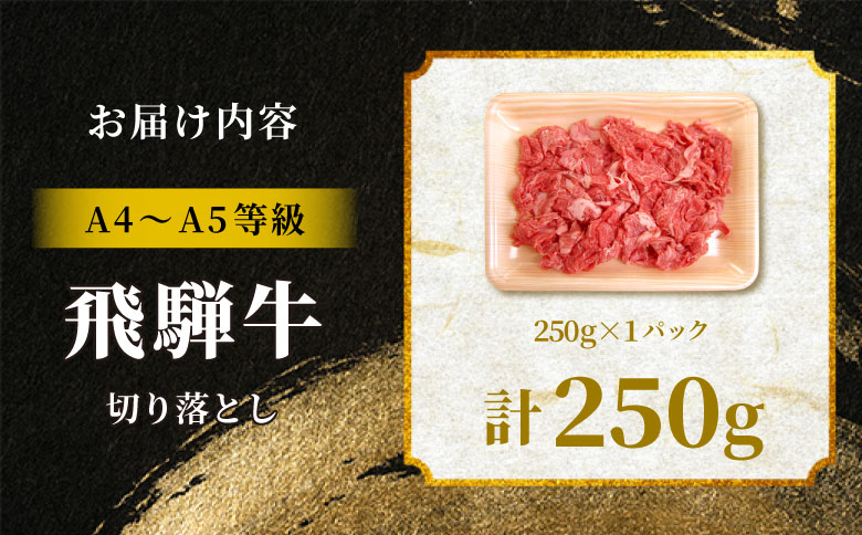 飛騨牛 切り落とし 250g A5 A4 国産 牛 黒毛和牛 和牛 牛肉 切落し 切り落し 薄切り 訳あり 牛丼 すき焼き しゃぶしゃぶ 炒め物 東白川村 岐阜 飛騨 贅沢 霜降り ロース バラ もも ウデ 肉のひぐち 250g（8,000円）