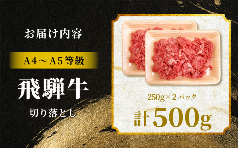 【12月16日入金分まで年内発送】 飛騨牛 切り落とし 500g（250g×2P） A5 A4 国産 牛 黒毛和牛 和牛 牛肉 切落し 切り落し 薄切り 訳あり 牛丼 すき焼き しゃぶしゃぶ 炒め物 東白川村 岐阜 飛騨 贅沢 霜降り ロース バラ もも ウデ 肉のひぐち 500g（12,000円）